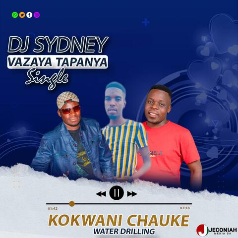 Kokwani Chauke (feat. Dj Sydney)
