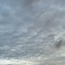 Cleansing Rain by Nancy Vencill