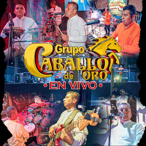 Chilenas En Vivo Año 2024