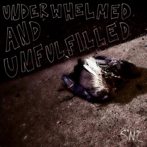 Underwhelmed and Unfulfilled