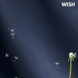 WISH