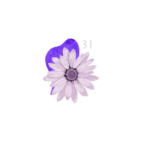 31