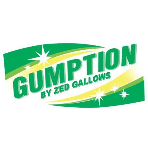 GUMPTION