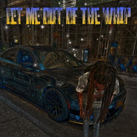 Let Me Out Of The Whip