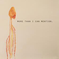 More Than I Can Mention