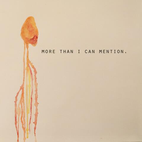 More Than I Can Mention