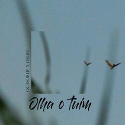 Olha o tuim (feat. OCASOreip)