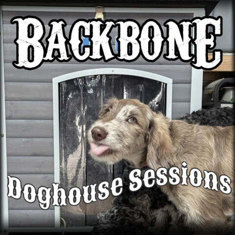 The Doghouse Sessions (LIVE)