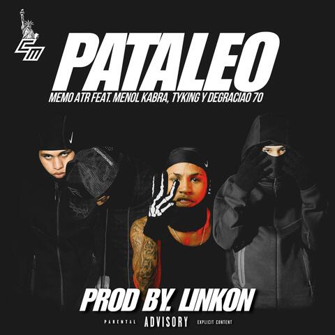 PATALEO (feat. Menol Kabra, Tyking & Degraciao 70)