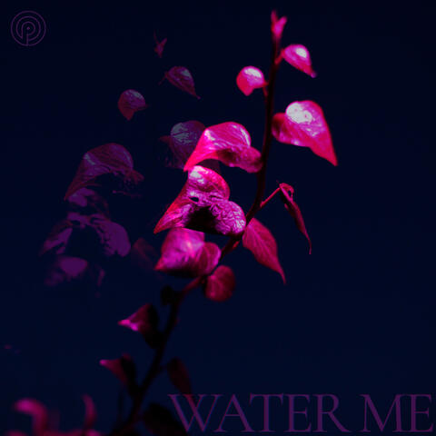 Water Me