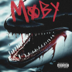 MOBY! (WHALE TEARS)