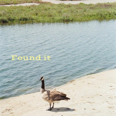Found It