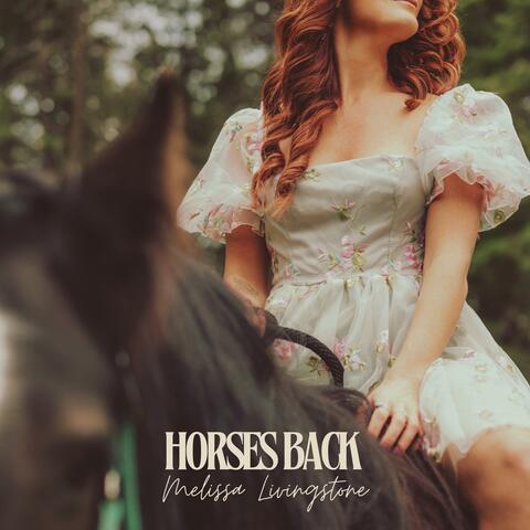 Horses Back