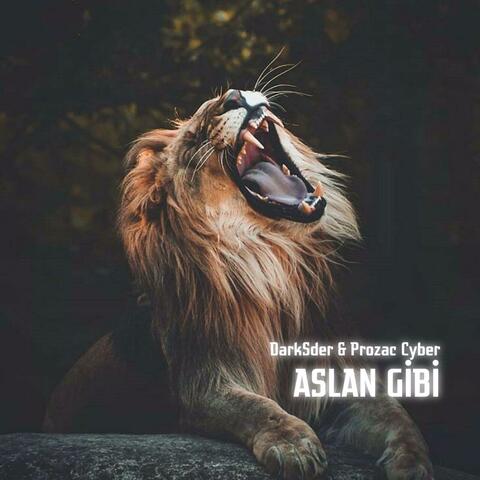 Aslan Gibi (feat. DarkSder)
