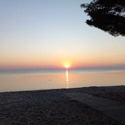 Purple Sky & Bonfire Nights (Accoustic (Demo version))