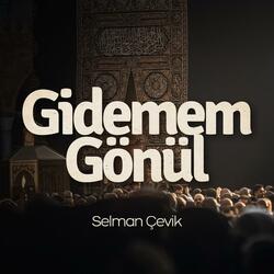 Gidemem Gönül