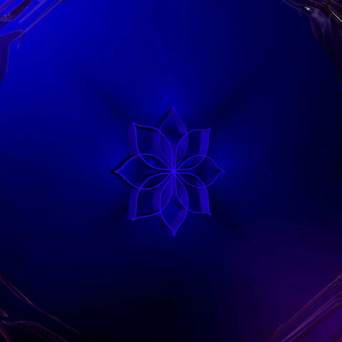 Bloom Night