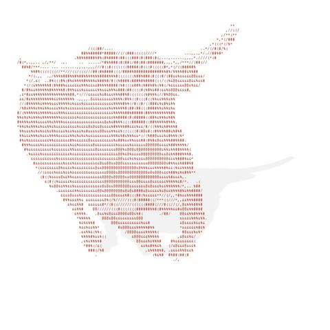 Pressure makes the bull run
