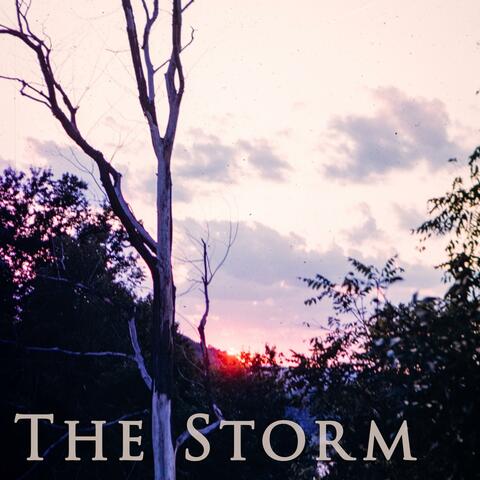 The Storm