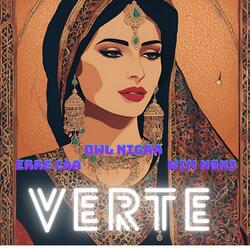 VERTE (feat. Wim N9N3, Owl Nigga & Orphan Cb)