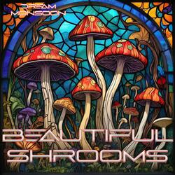 Beautiful Shrooms