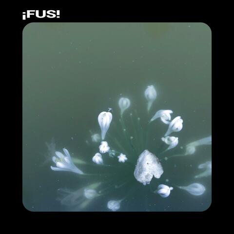 ¡Fus!