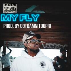 My Fly