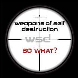 So What?
