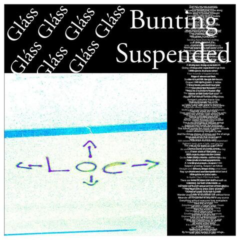 Bunting Suspended