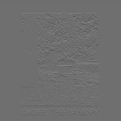 ecstasy (under the canopy) (feat. Dxxdly)