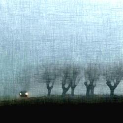 So long summer skies