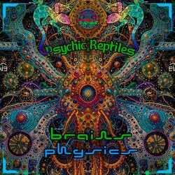 Brains and Physics