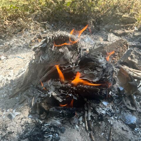 "Love The Meek" for Amy 101324