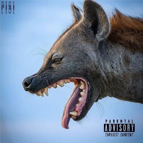 PISI