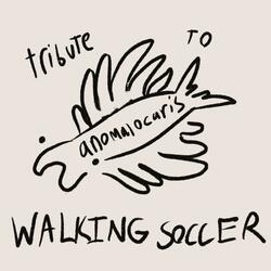 tribute to anomalocaris