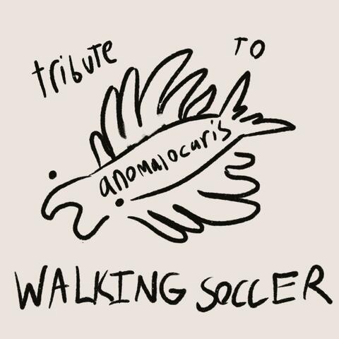tribute to anomalocaris