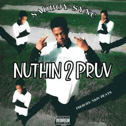 Nuthin 2 Pruv