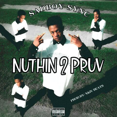 Nuthin 2 Pruv