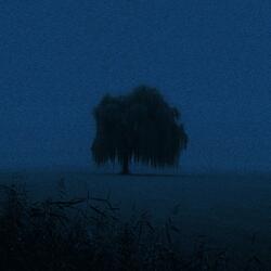 in the middle of nowhere