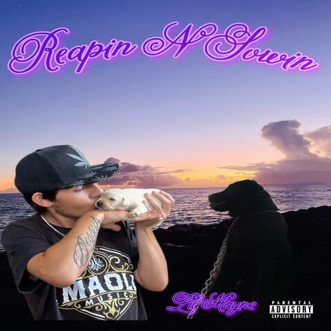 Reapin N Sowin