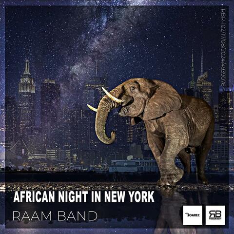 African Night In New York (Original Mix)