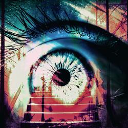 Eye of the Hunted