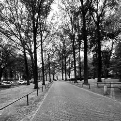 it's been a while (Sped up)