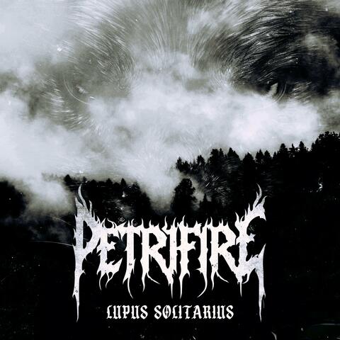 Lupus Solitarius
