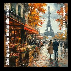 Soleil Après La Pluie (Sunshine After the Rain)