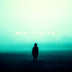 What If You Fly?