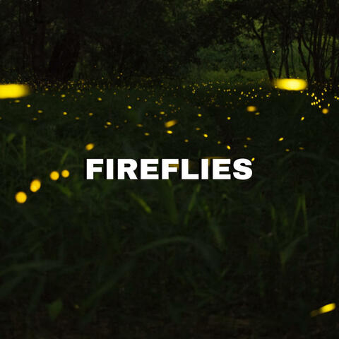 Fireflies