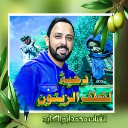 دحية قطف الزيتون