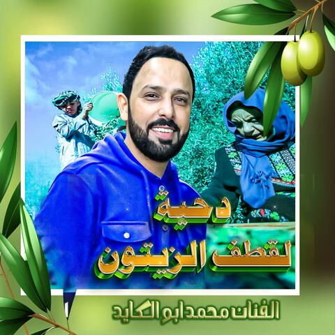 دحية قطف الزيتون