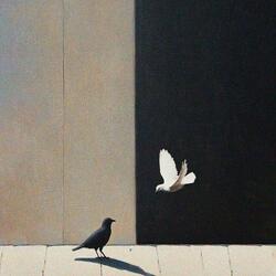 Blanco y Negro